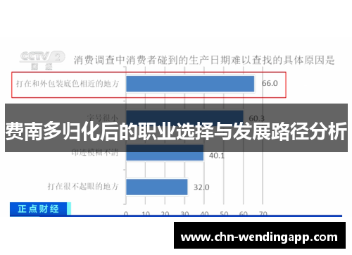 费南多归化后的职业选择与发展路径分析