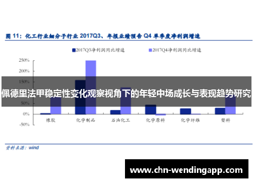 佩德里法甲稳定性变化观察视角下的年轻中场成长与表现趋势研究 佩德里法甲稳定性变化观察视角下的年轻中场成长与表现趋势研究