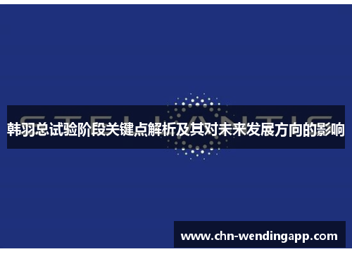 韩羽总试验阶段关键点解析及其对未来发展方向的影响 韩羽总试验阶段关键点解析及其对未来发展方向的影响