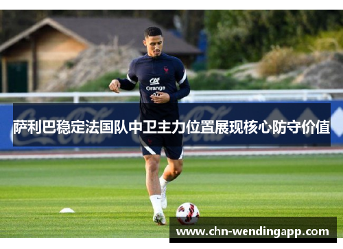 萨利巴稳定法国队中卫主力位置展现核心防守价值